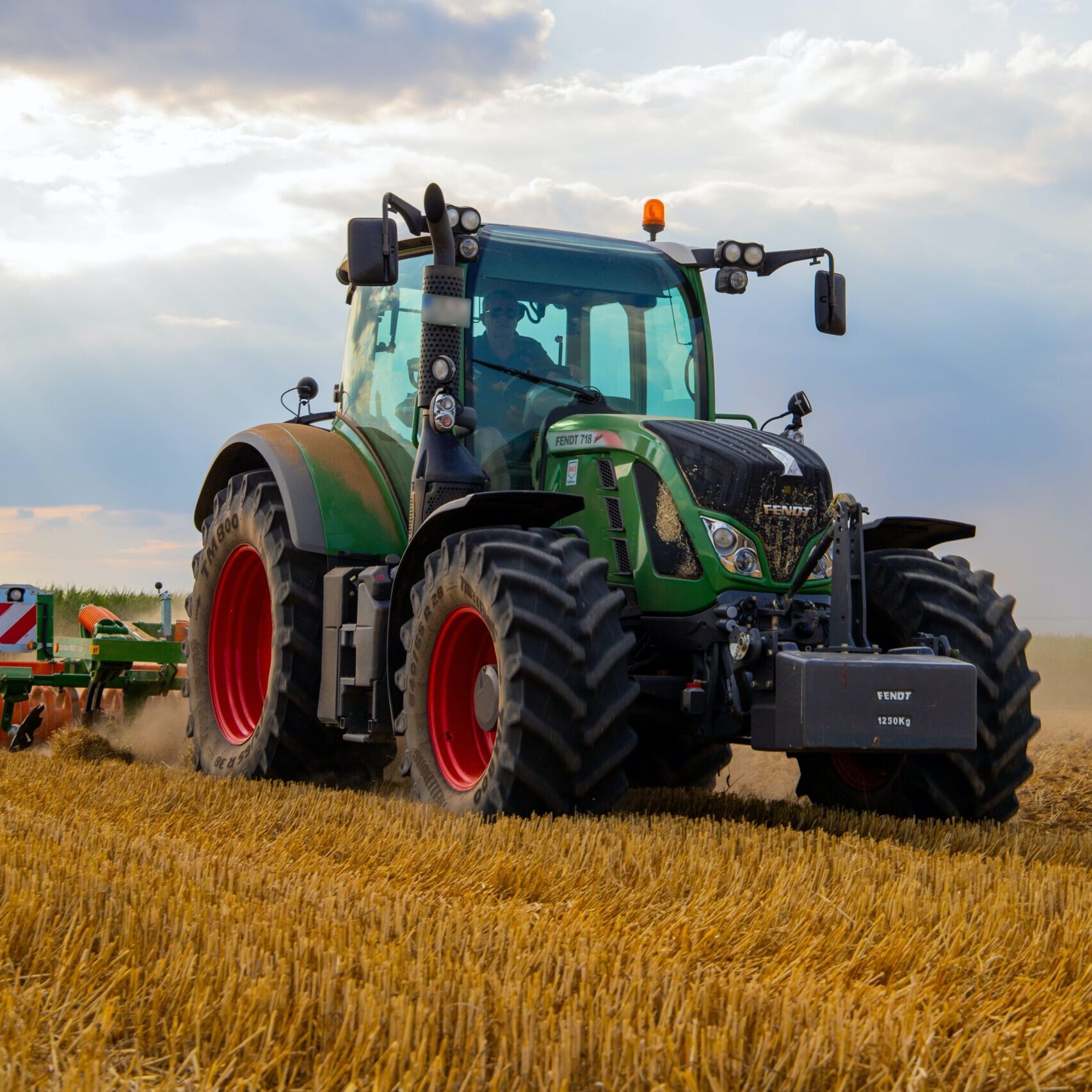 pexels-jannis-knorr-2933243